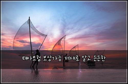 ํ์๋ณดํ ๋ณด์๊ฐ๋ฅ ์ ๋๋ก ์๊ณ ๋ ๋ ํ