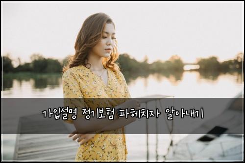 가입설명 정기보험 파헤치자  알아내기