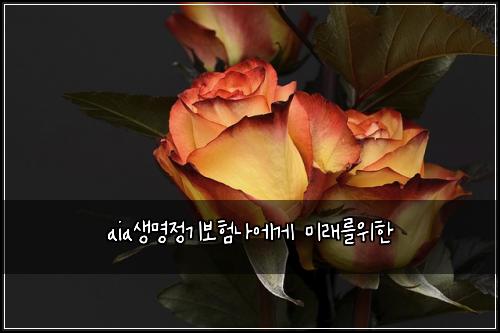 aia생명정기보험나에게 미래를위한