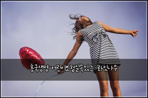 흥국생명 어린이보험실속있는 롸잇나우
