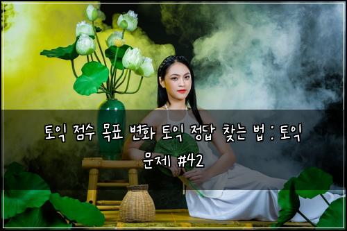 토익 점수 목표 변화 토익 정답 찾는 법 : 토익 문제 #42