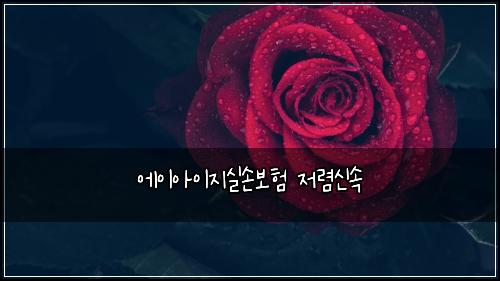 에이아이지실손보험 저렴신속 