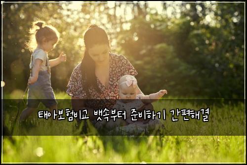 태아보험비교 뱃속부터 준비하기 간편해결
