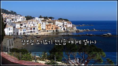암보험 요기요기  진단금 어디에 얼마나