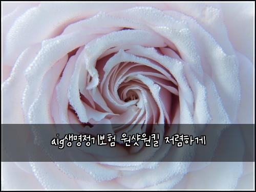 aig생명정기보험 원샷원킬  저렴하게