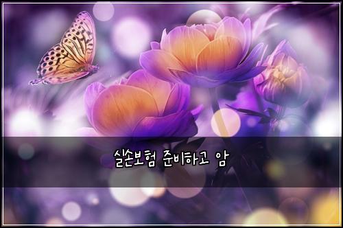 실손보험 준비하고  암