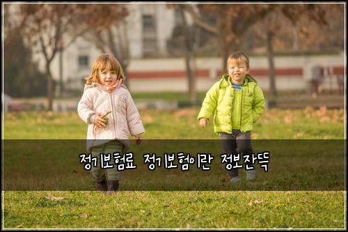 정기보험료 정기보험이란 정보잔뜩