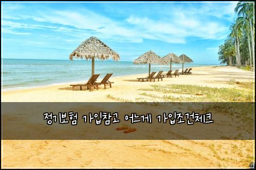정기보험 가입참고  어느게 가입조건체크