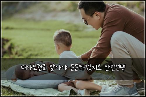 태아보험료 알아야 든든하겠지요 안전선택