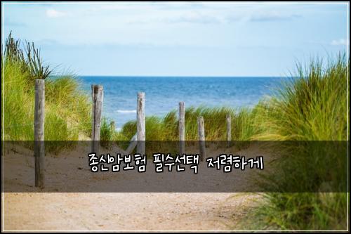 ์ข
์ ์๋ณดํ ํ์์ ํ ์ ๋ ดํ๊ฒ