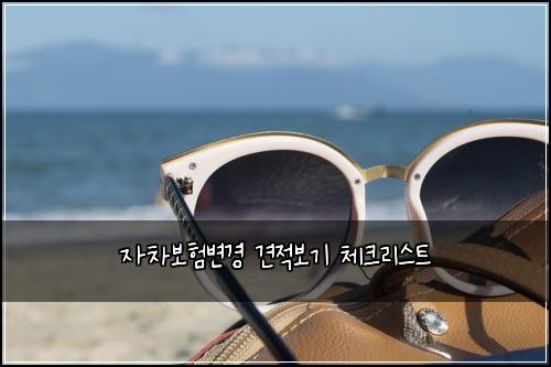์์ฐจ๋ณดํ๋ณ๊ฒฝ ๊ฒฌ์ ๋ณด๊ธฐ ์ฒดํฌ๋ฆฌ์คํธ