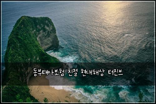 동부태아보험 친절  현대해상 터진브