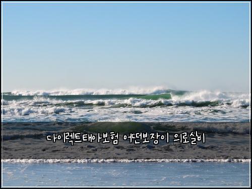 다이렉트태아보험 어떤보장이  의로실비