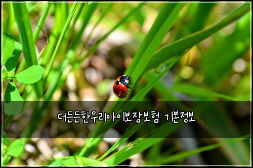 더든든한우리아이보장보험 기본정보 