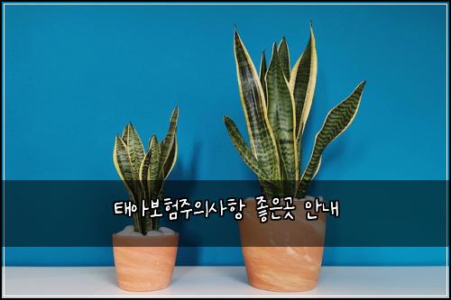 태아보험주의사항 좋은곳 안내
