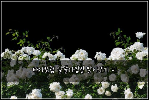 ํ์๋ณดํ ์๋ฐ๊ฐ์
๋ฒ ์์๋ณด๊ธฐ ๋