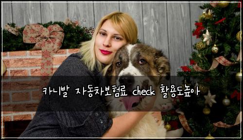 ์นด๋๋ฐ ์๋์ฐจ๋ณดํ๋ฃ check ํ์ฉ๋๋์