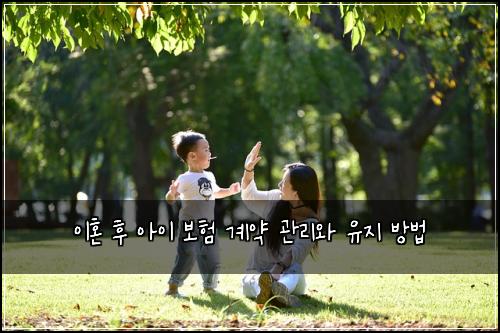 이혼 후 아이 보험 계약 관리와 유지 방법