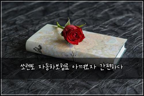 쏘렌토 자동차보험료 아껴보자 간편하다