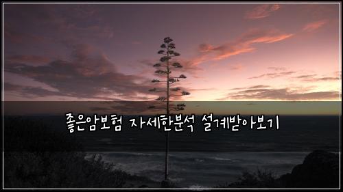 ์ข์์๋ณดํ ์์ธํ๋ถ์ ์ค๊ณ๋ฐ์๋ณด๊ธฐ