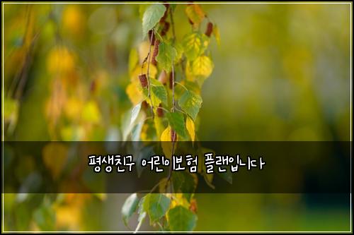 평생친구 어린이보험 플랜입니다 