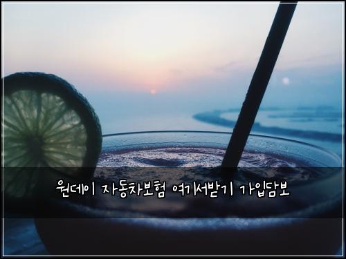 원데이 자동차보험 여기서받기  가입담보