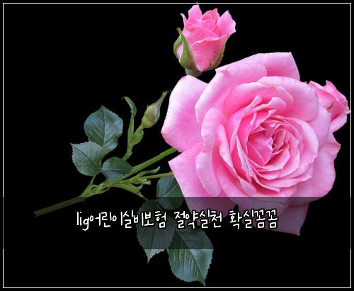 lig어린이실비보험 절약실천  확실꼼꼼