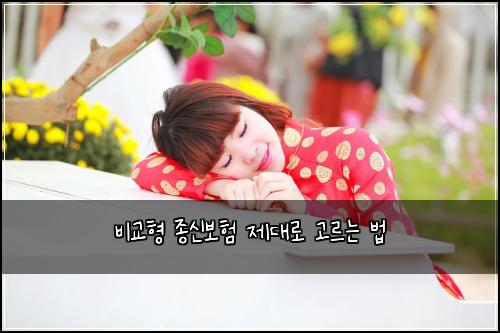비교형 종신보험 제대로 고르는 법