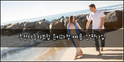 추천자동차보험 준비과정  빠름 간편가입