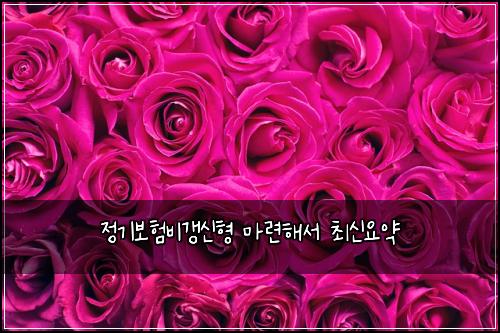 ์ ๊ธฐ๋ณดํ๋น๊ฐฑ์ ํ ๋ง๋ จํด์ ์ต์ ์์ฝ
