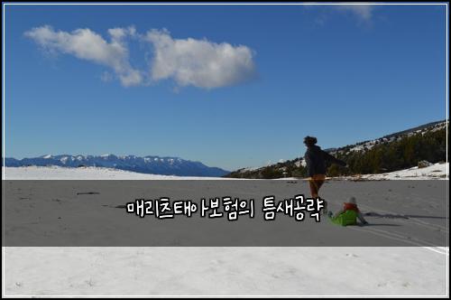 매리츠태아보험의 틈새공략