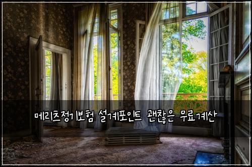 메리츠정기보험 설계포인트  괜찮은 무료계산