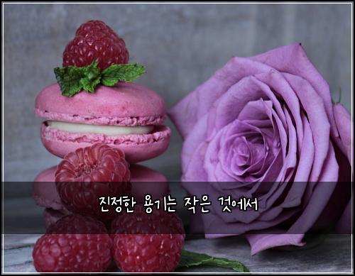 ์ง์ ํ ์ฉ๊ธฐ๋ ์์ ๊ฒ์์