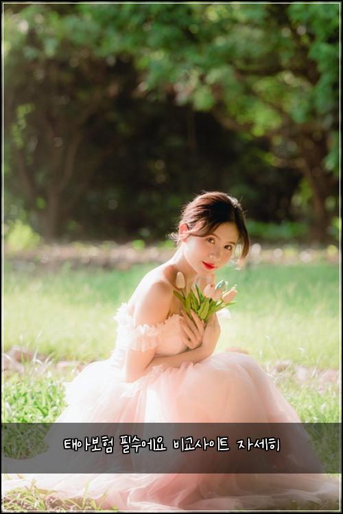 태아보험 필수에요  비교사이트 자세히