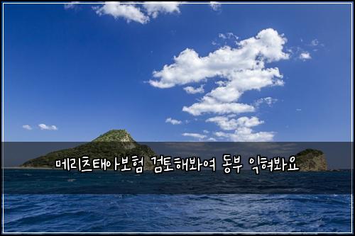 메리츠태아보험 검토해봐여  동부 익혀봐요