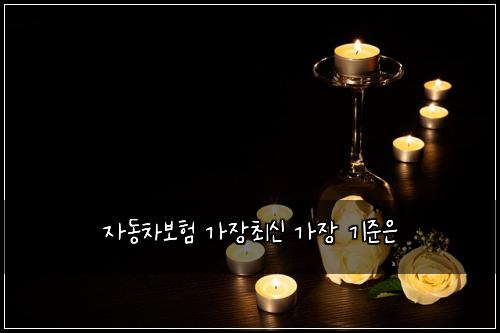 ์๋์ฐจ๋ณดํ ๊ฐ์ฅ์ต์ ๊ฐ์ฅ ๊ธฐ์ค์