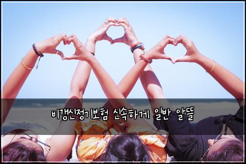 비갱신정기보험 신속하게  일반 알뜰