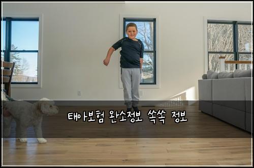 태아보험 완소정보  쏙쏙 정보