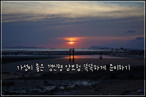 가성비 좋은 갱신형 암보험 똑똑하게 준비하기