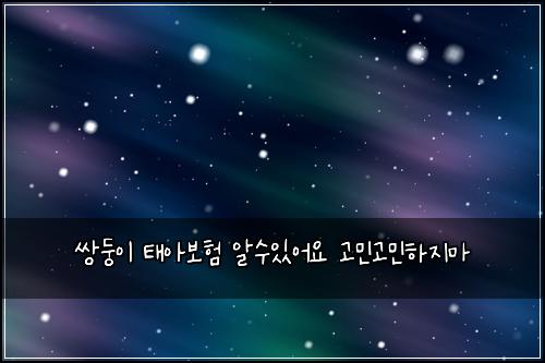 쌍둥이 태아보험 알수있어요  고민고민하지마