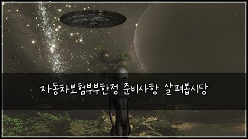 자동차보험부부한정 준비사항 살펴봅시당