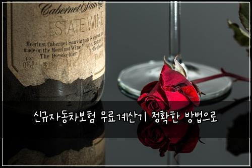 신규자동차보험 무료계산기  정확한 방법으로