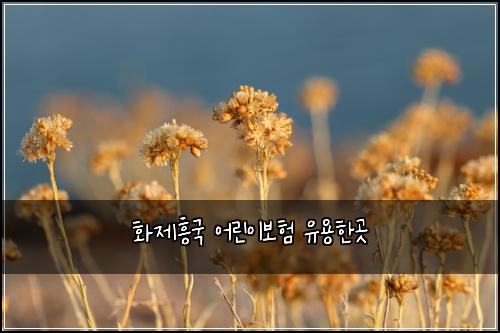 ํ์ ํฅ๊ตญ ์ด๋ฆฐ์ด๋ณดํ ์ ์ฉํ๊ณณ
