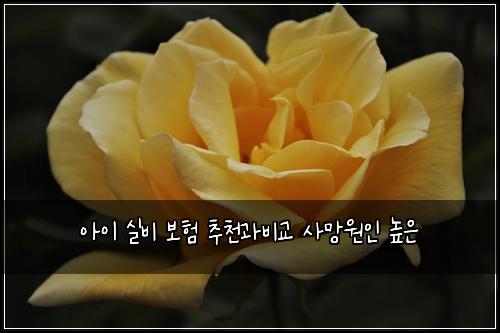 아이 실비 보험 추천과비교  사망원인 높은