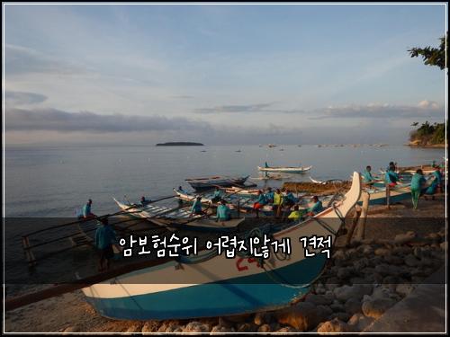암보험순위 어렵지않게 견적