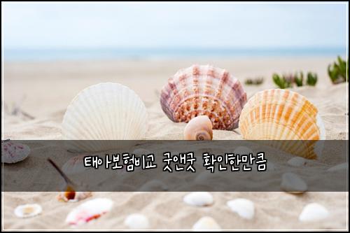 태아보험비교 굿앤굿 확인한만큼