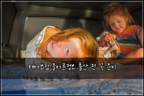 ํ์๋ณดํ ์ฌ๋ฐ๋ฅธ์ ๋ณด ์ถ์ฐ ์ ๊ผญ ์ค๋น