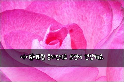 아이실비보험 온라인비교  크면서 건강해요