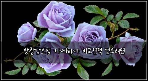 방광암보험 자세하다  비교견적 얻으려면