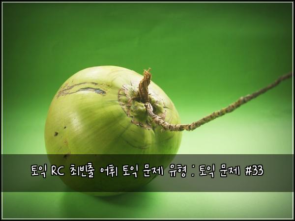 토익 RC 최빈출 어휘 토익 문제 유형 : 토익 문제 #33